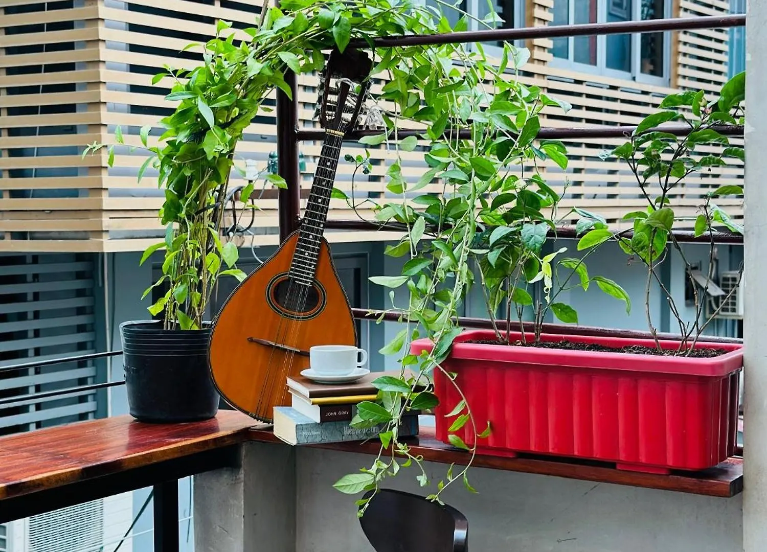 T Zone Hostel - Quiet Place, Near China Town,Ho Thi Ky Street Food,Cafe,Beer Ho Chi Minh City Capsule hotel