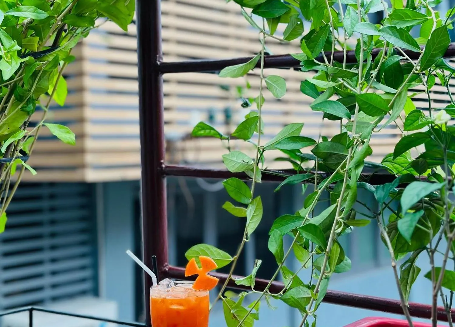 T Zone Hostel - Quiet Place, Near China Town,Ho Thi Ky Street Food,Cafe,Beer Ho Chi Minh City